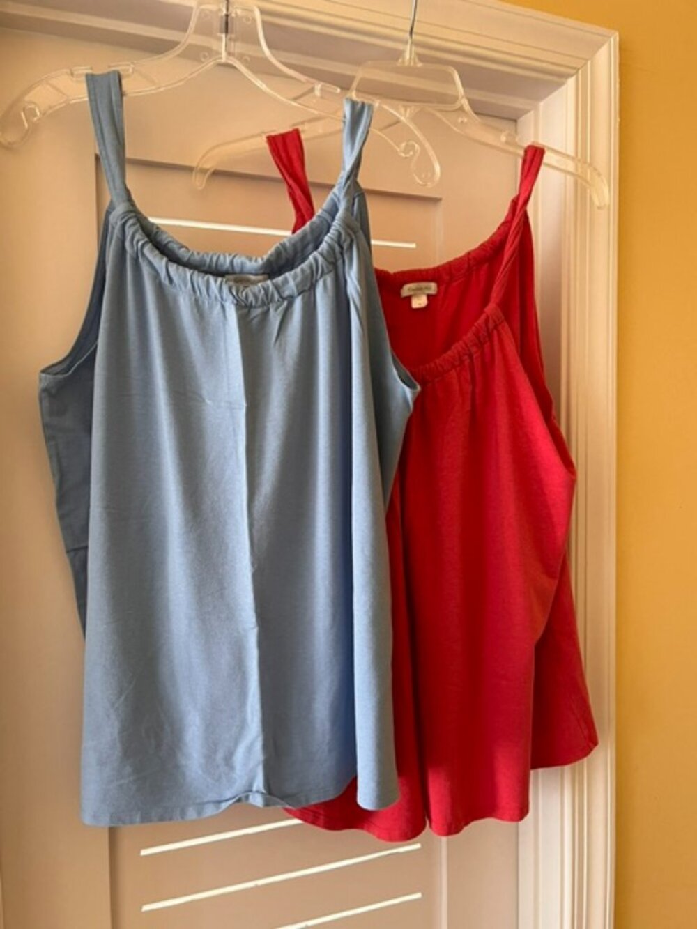 Two Garnet Hill summer tops